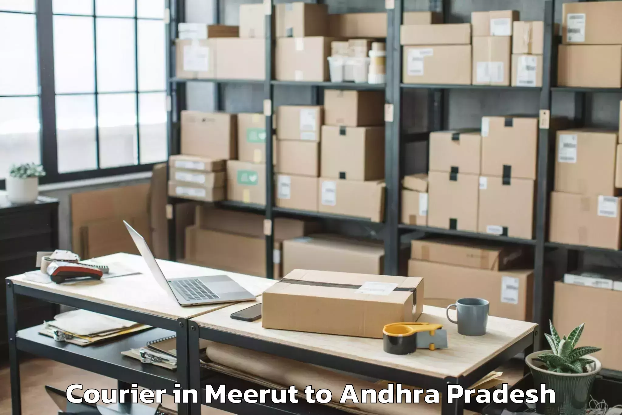 Leading Meerut to Pamarru Courier Provider